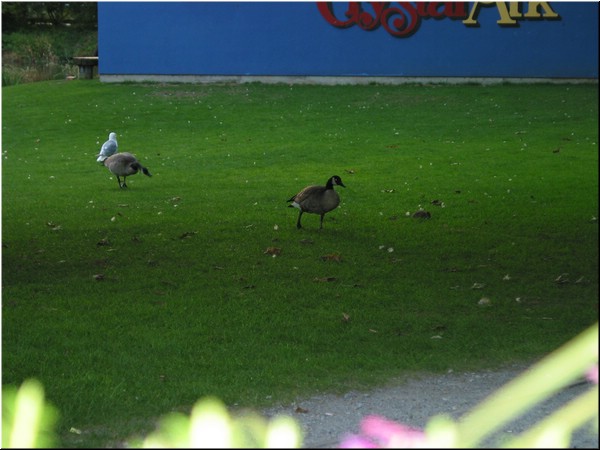 135-3524_IMG.JPG