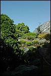 100PENTX-IMGP1899a.JPG
