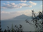 134-3496_IMG.JPG