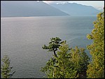 134-3499_IMG.JPG