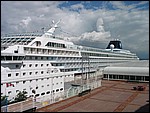 135-3507_IMG.JPG