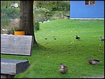 135-3525_IMG.JPG